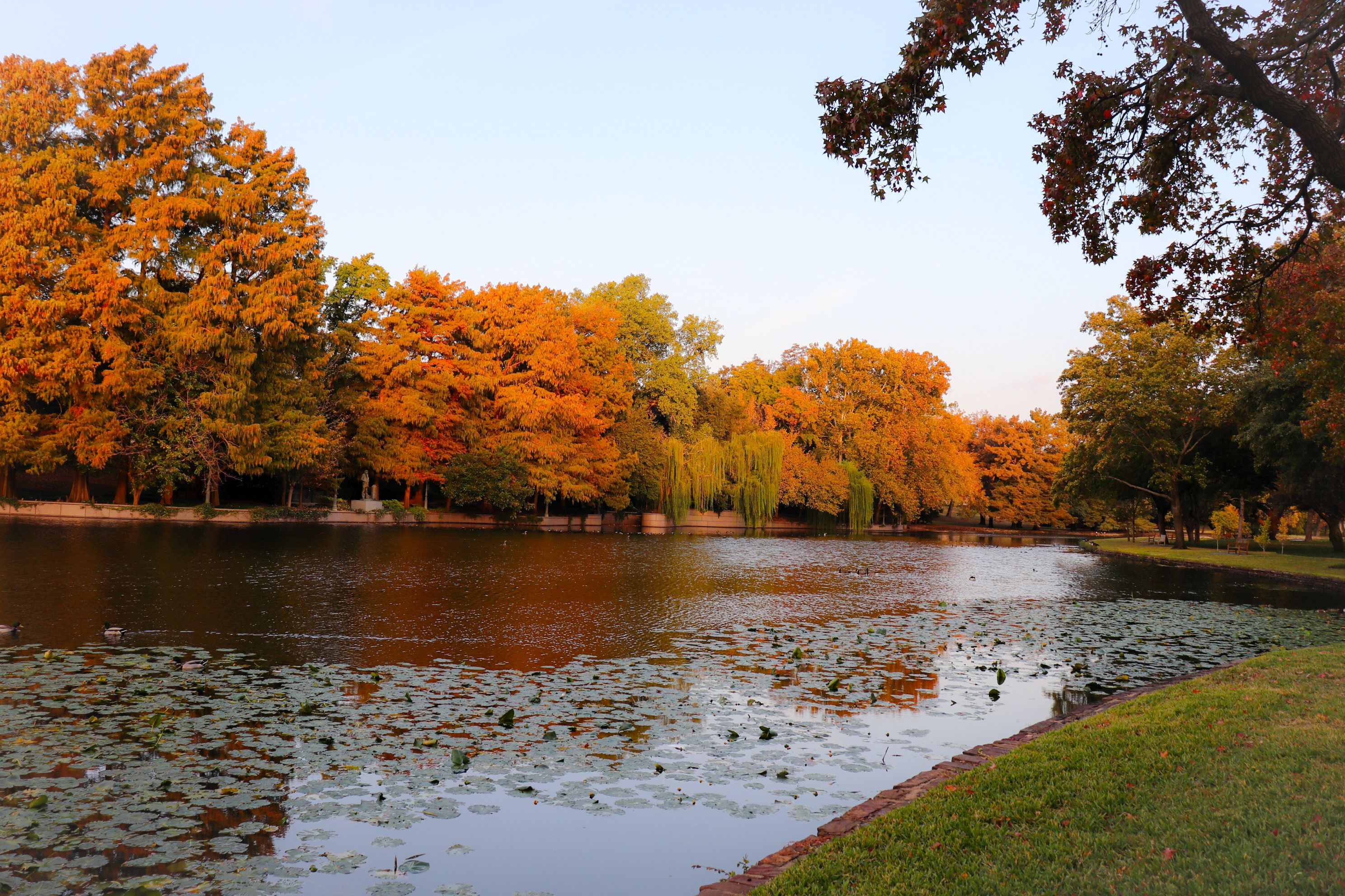 A scenic Texas lake lined with vibrant autumn foliage trees and floating lily pads glowing in golden afternoon sun.